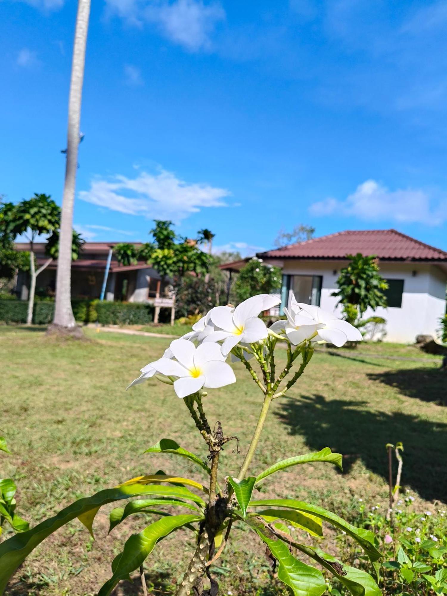 The Lodge At Koh Kood Ko Kut Exteriör bild